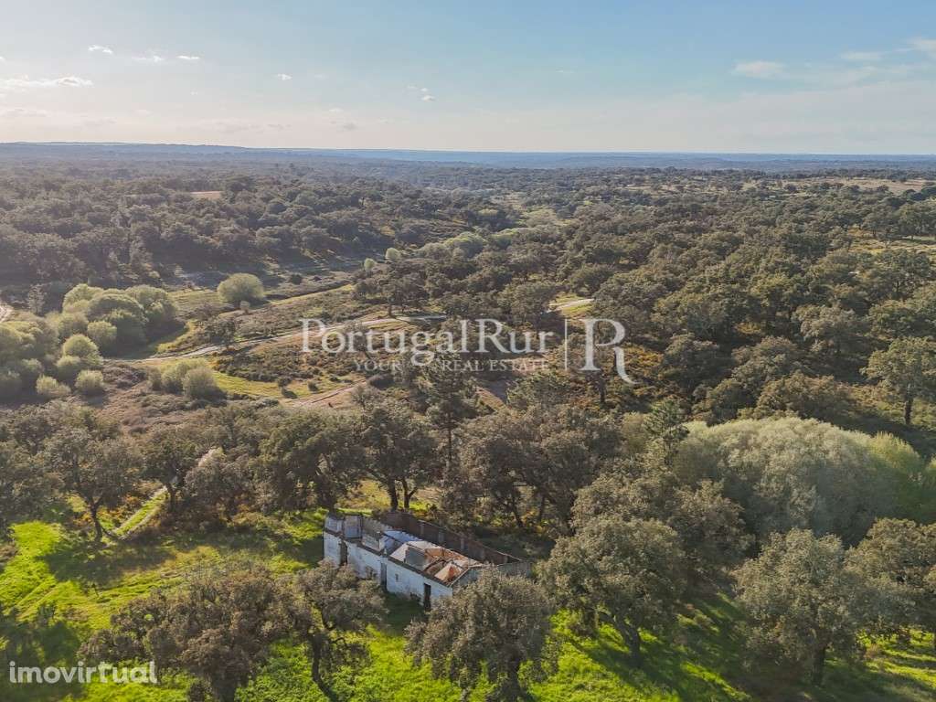 Herdade de 102 hectares com montado e Olival - Grande imagem: 2/36