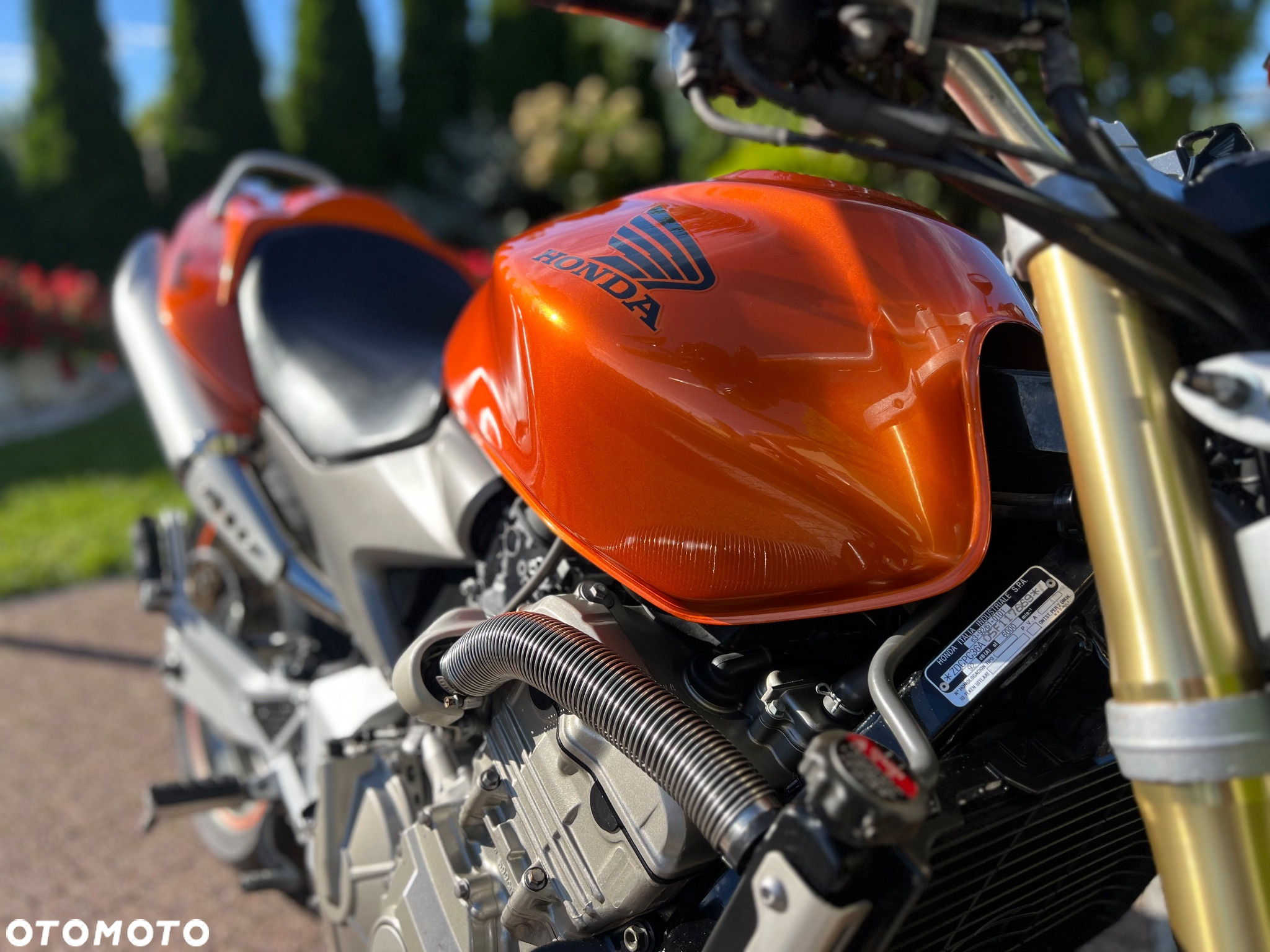 Honda Hornet - 4