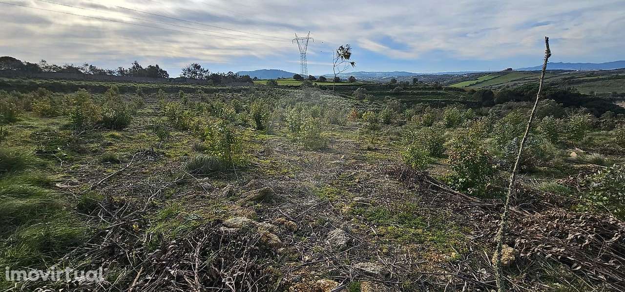 Terreno  para venda - Grande imagem: 5/15