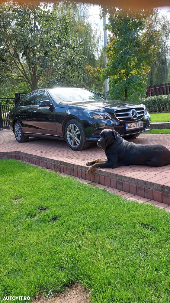 Mercedes-Benz E 300 BlueTEC HYBRID Aut. - 16