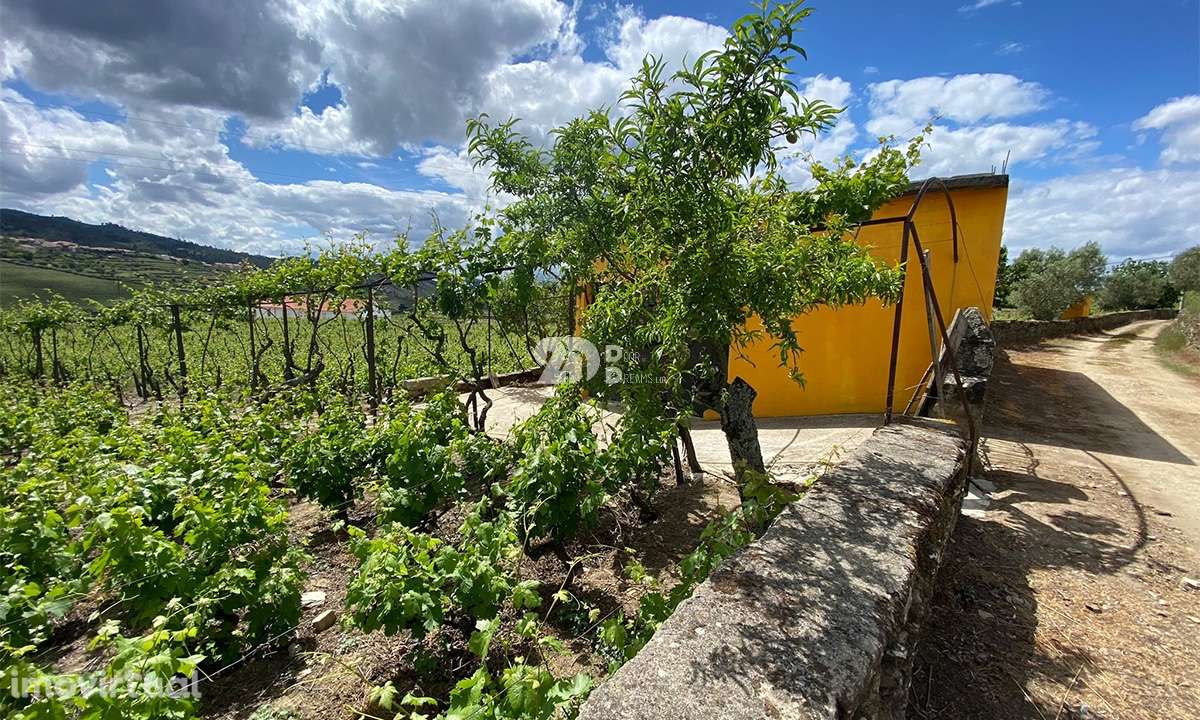 Terreno 14720m² - Barcos - Grande imagem: 2/13