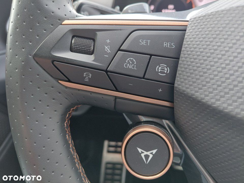 Cupra Terramar - 21