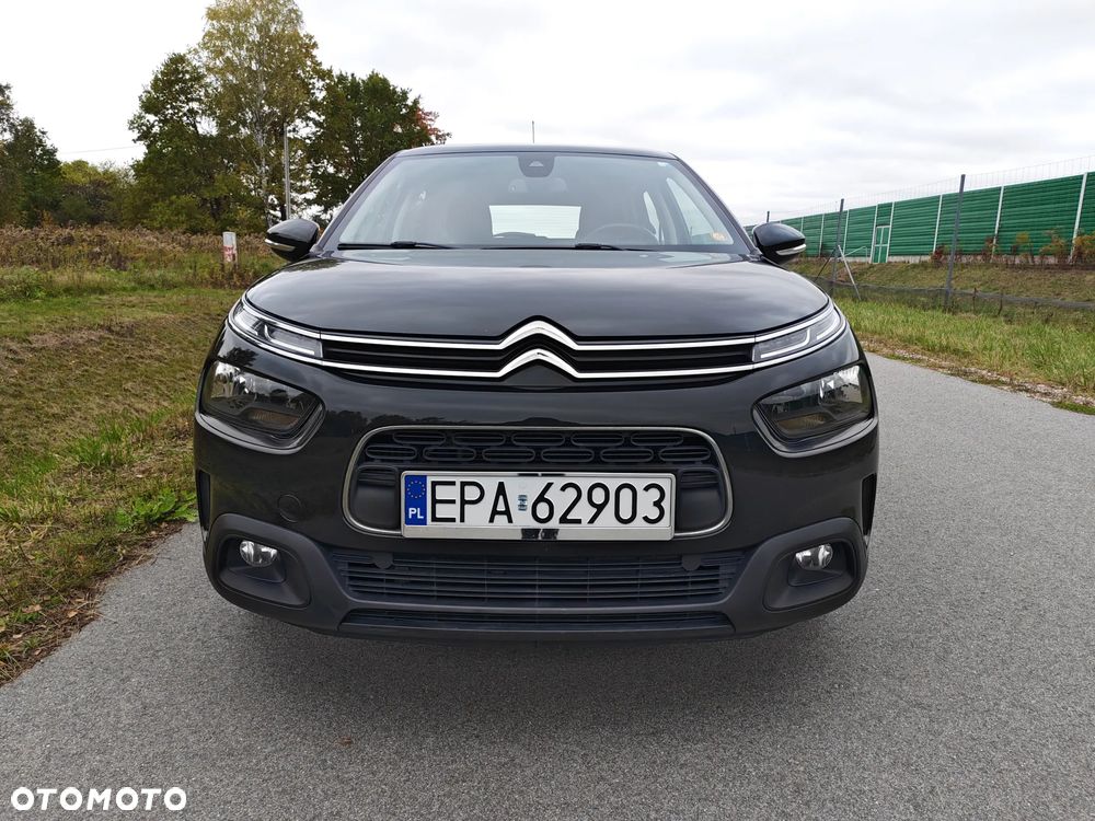 Citroen C4 Cactus 2019 photo 3