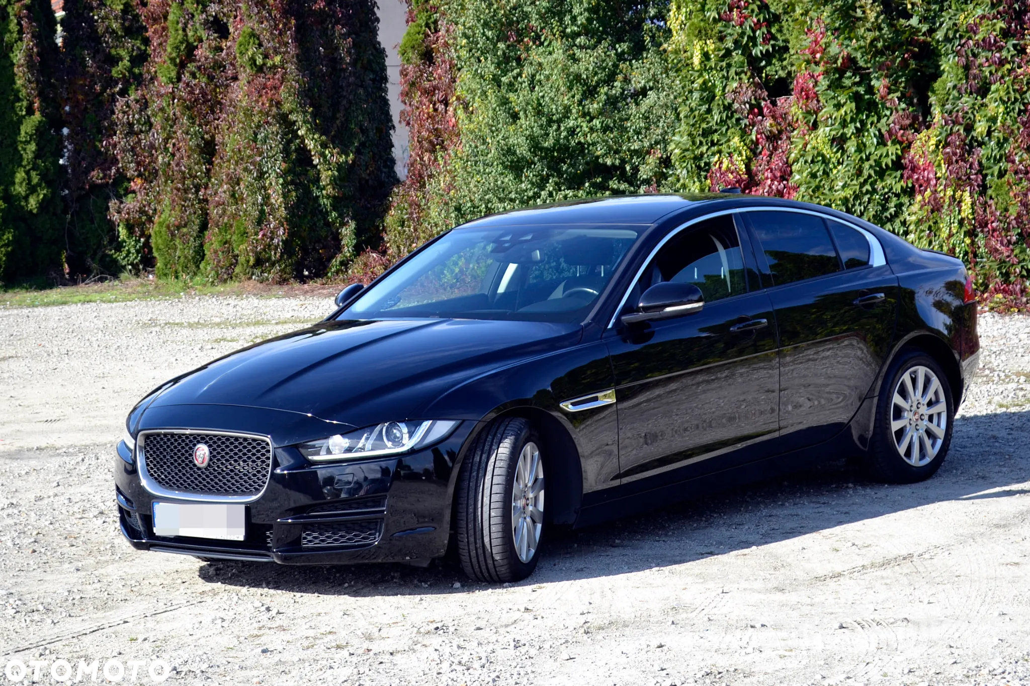 Jaguar XE - 6