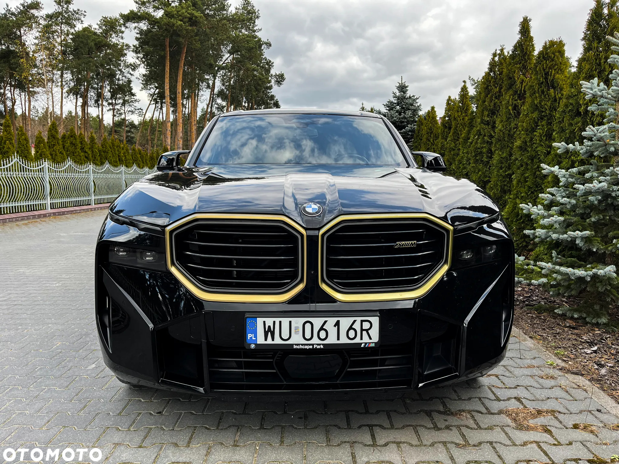 BMW XM PHEV sport - 9