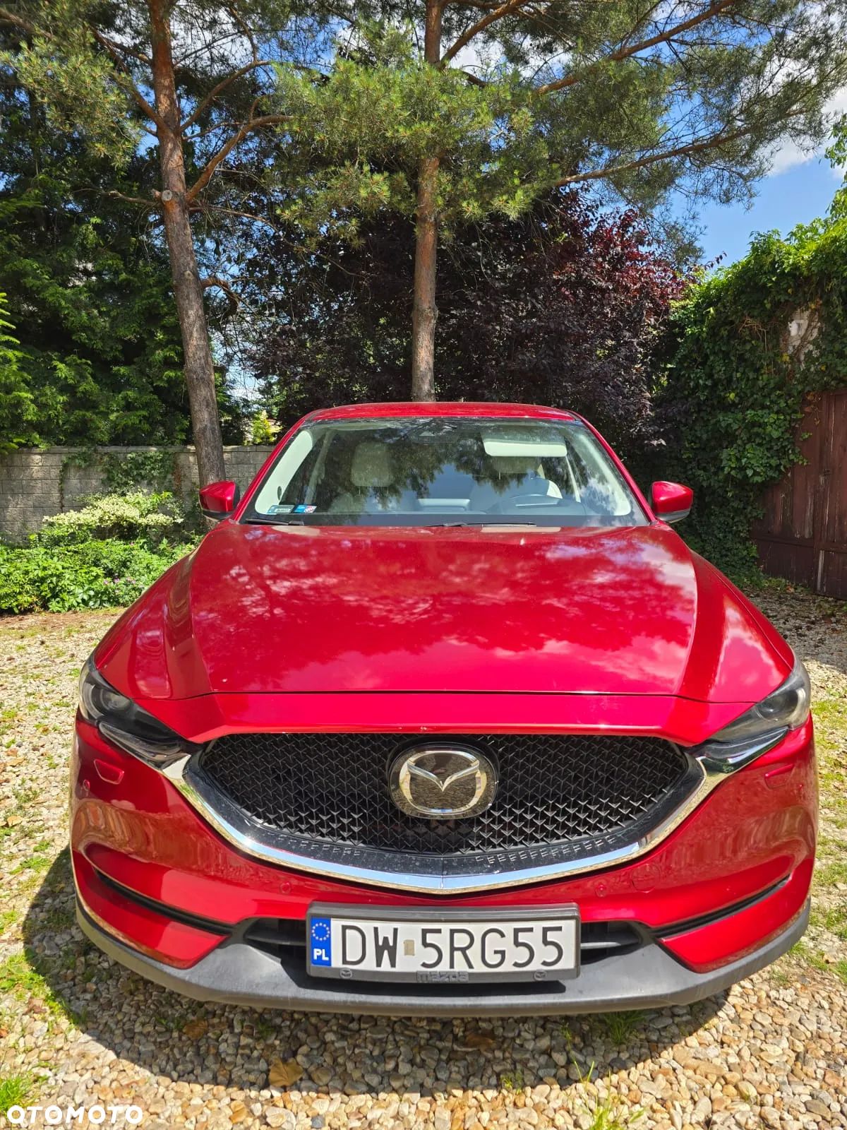 Mazda CX-5 2.2 D Skypassion AWD - 1