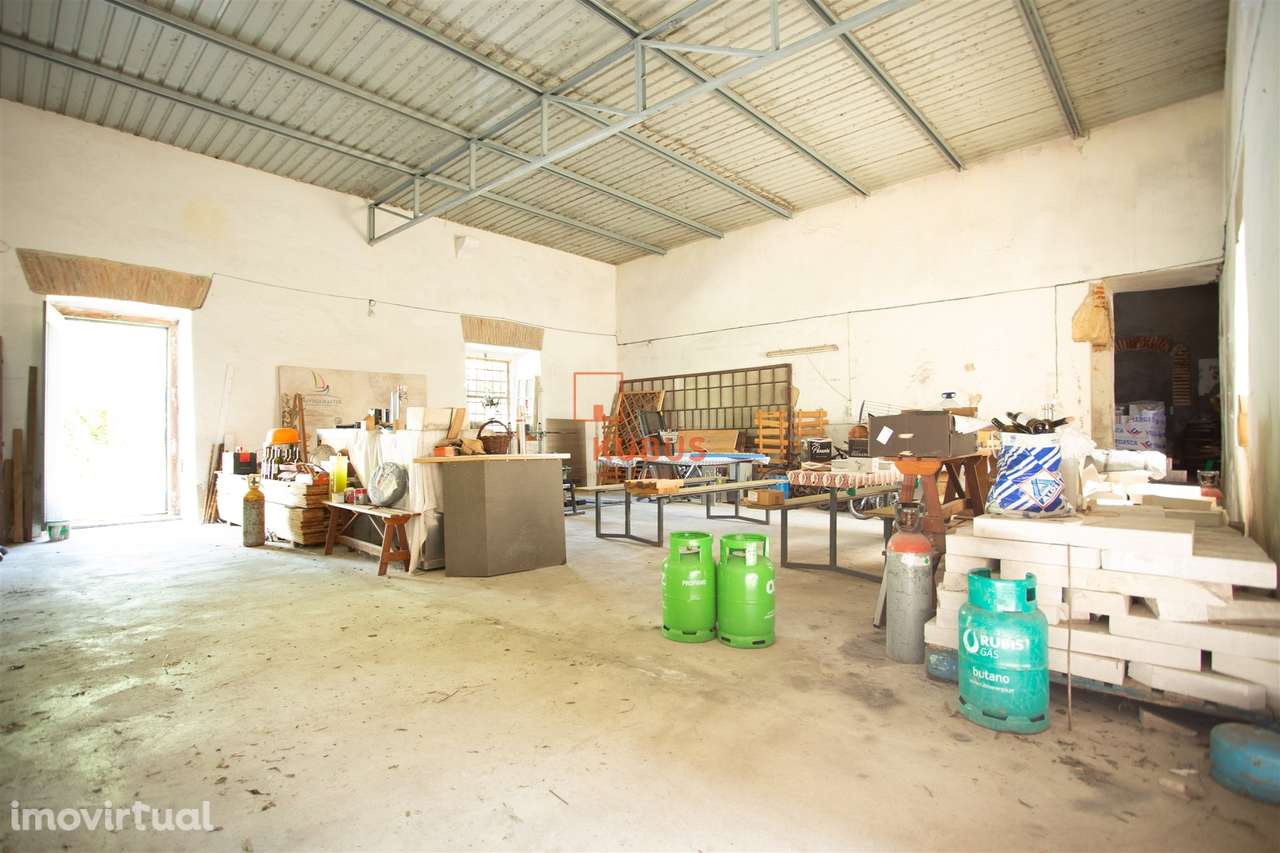 Armazém - Torres Novas - Grande imagem: 2/22