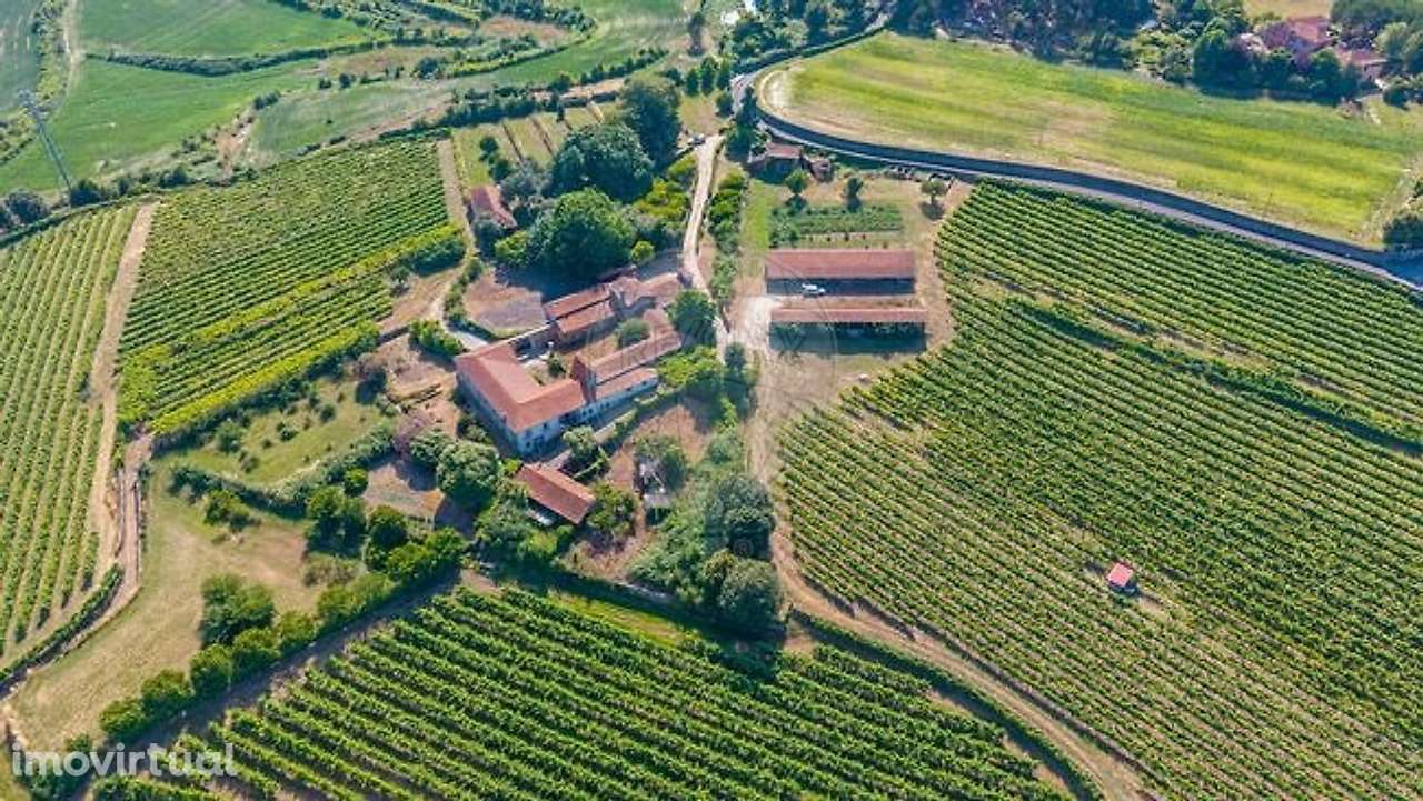 Quinta  para venda - Grande imagem: 2/18