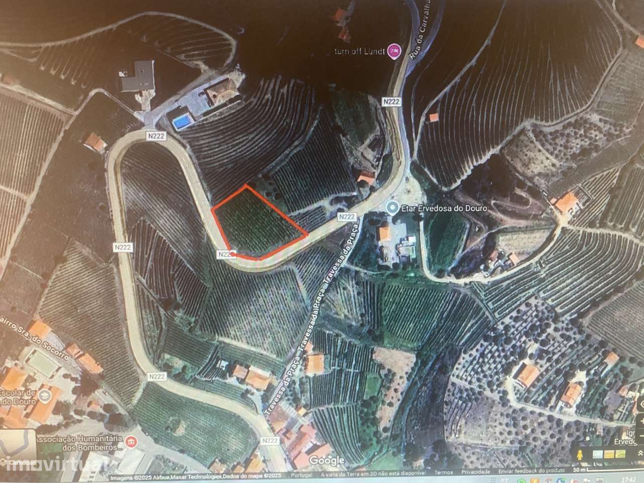 Vinha - Ervedosa do Douro - Grande imagem: 3/3