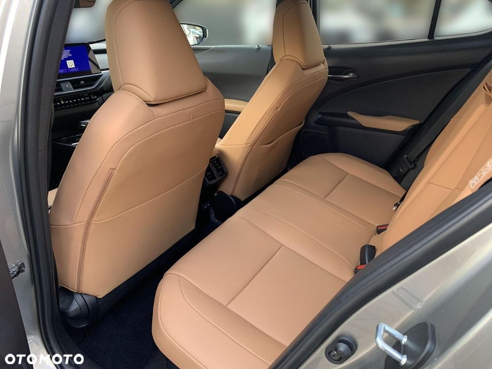 Lexus UX 250h GPF F Sport Design 2WD - 12