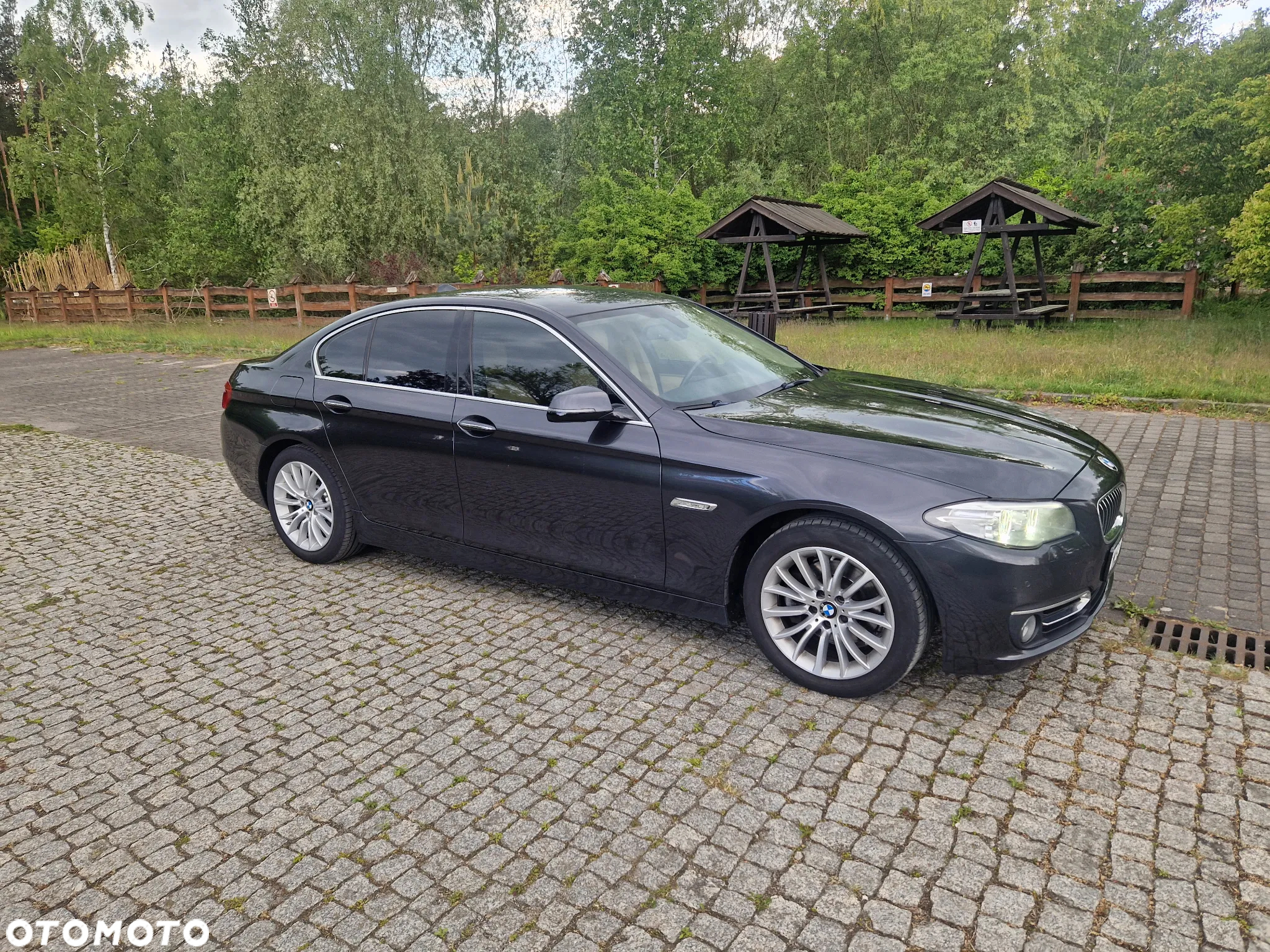 BMW Seria 5 520d Luxury Line sport - 9