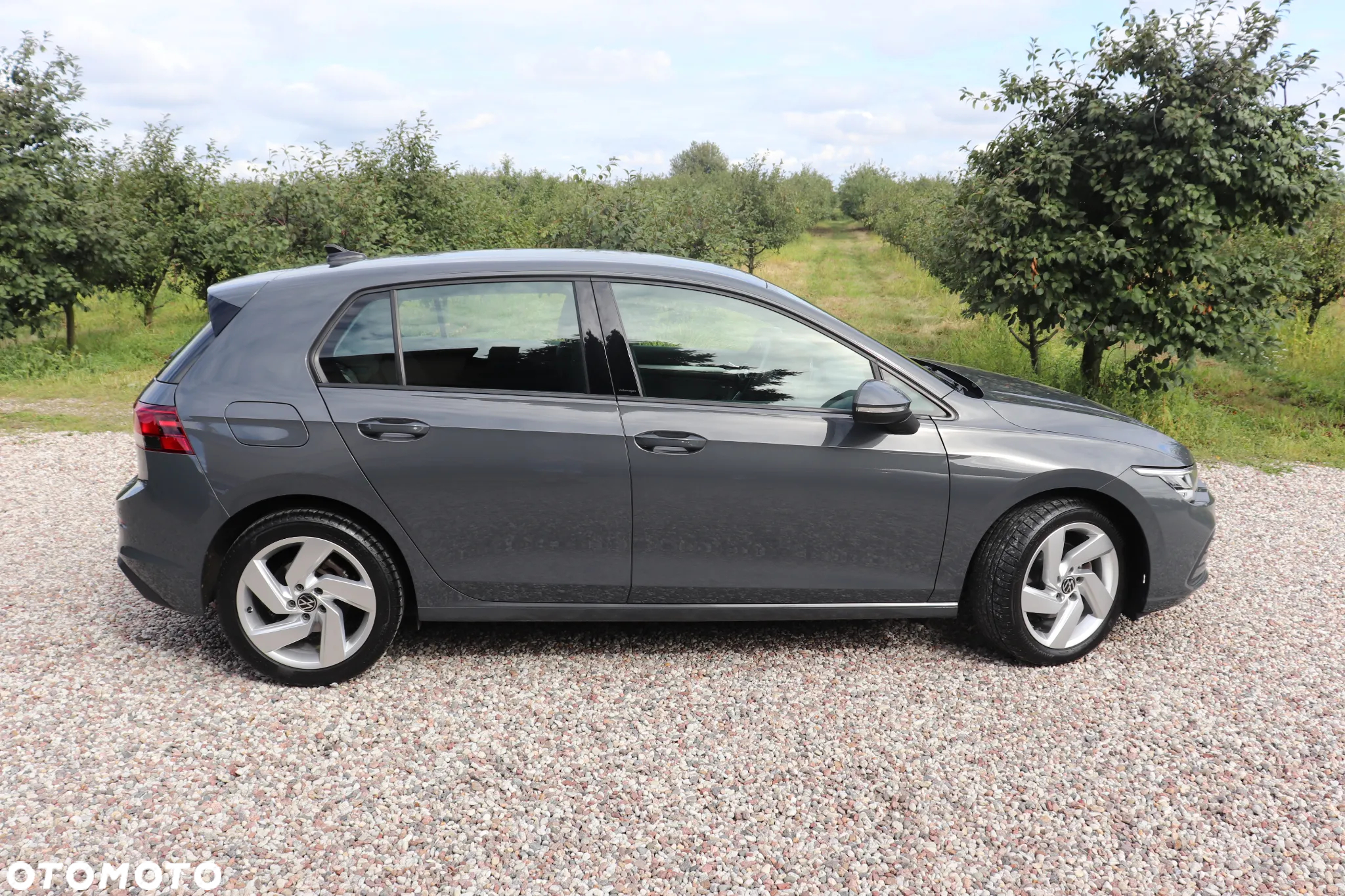 Volkswagen Golf VIII 2.0 TDI Life Plus - 15
