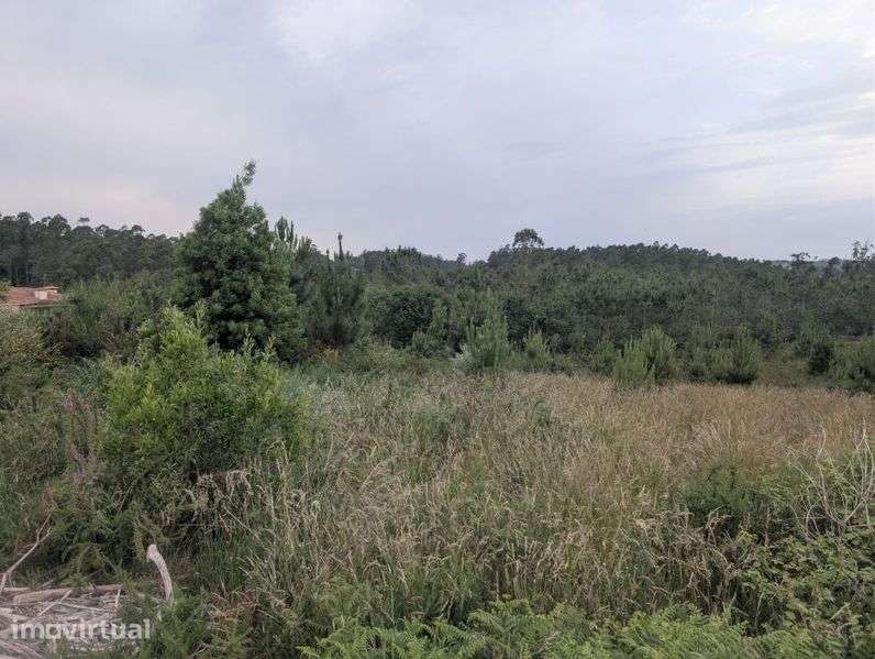 Terreno macieira da maia - Grande imagem: 5/7