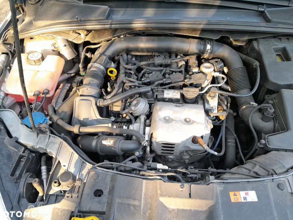Ford Focus - 15
