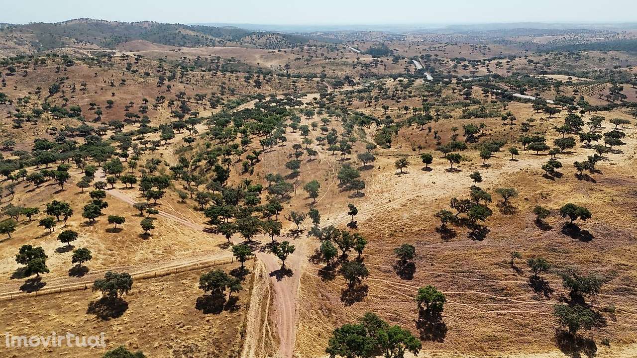 Quinta T4 para venda - Grande imagem: 4/9