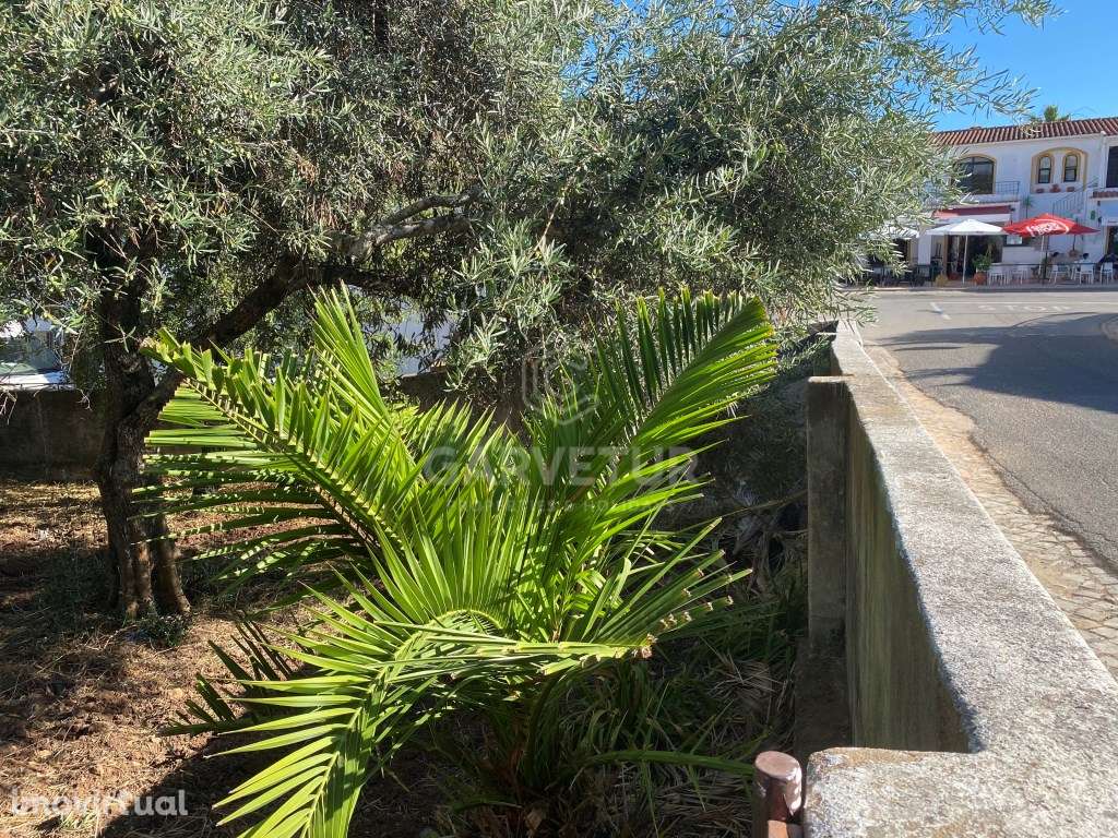 Lote de Terreno urbano no centro Salir, Loulé, Algarve - Grande imagem: 5/13