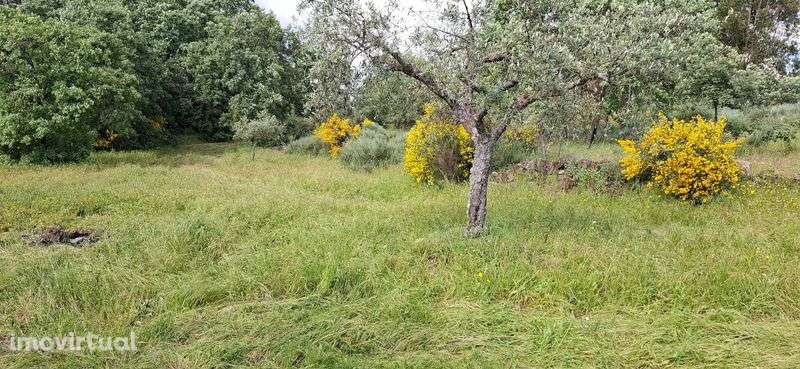 Terreno à venda em Salvador, Penamacor - Grande imagem: 2/12
