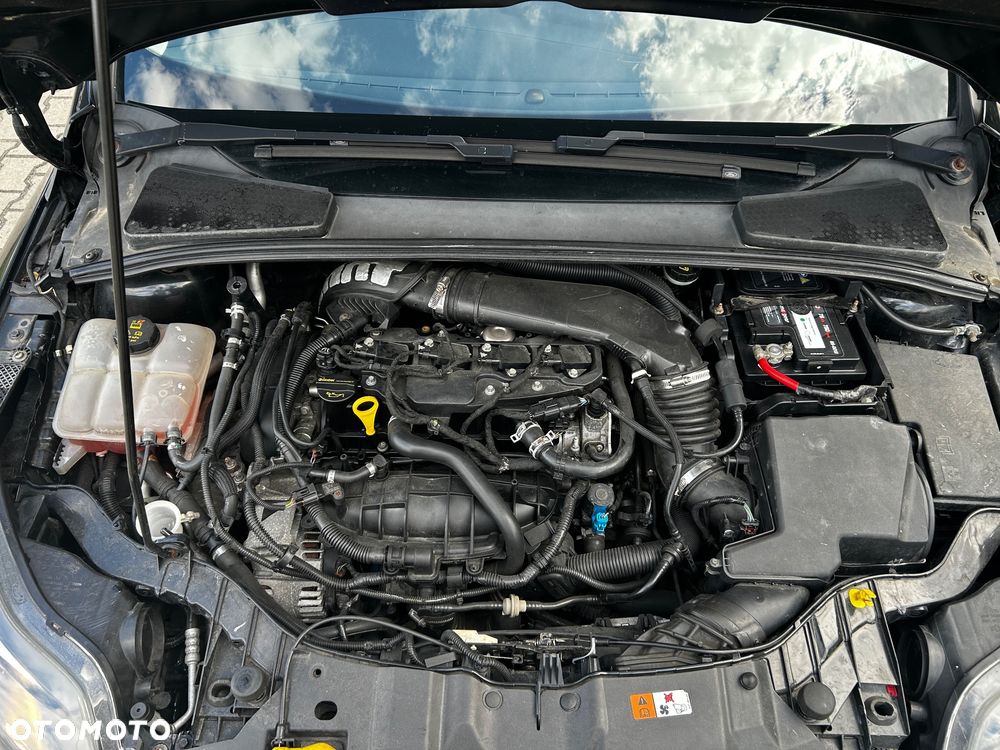 Ford Focus - 19