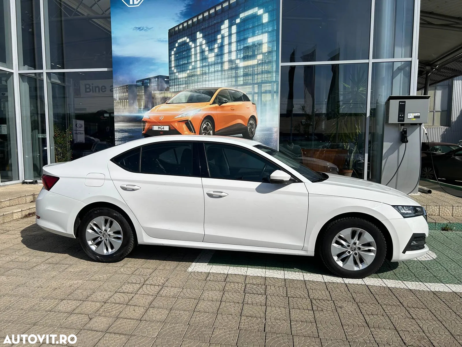 Skoda Octavia - 3
