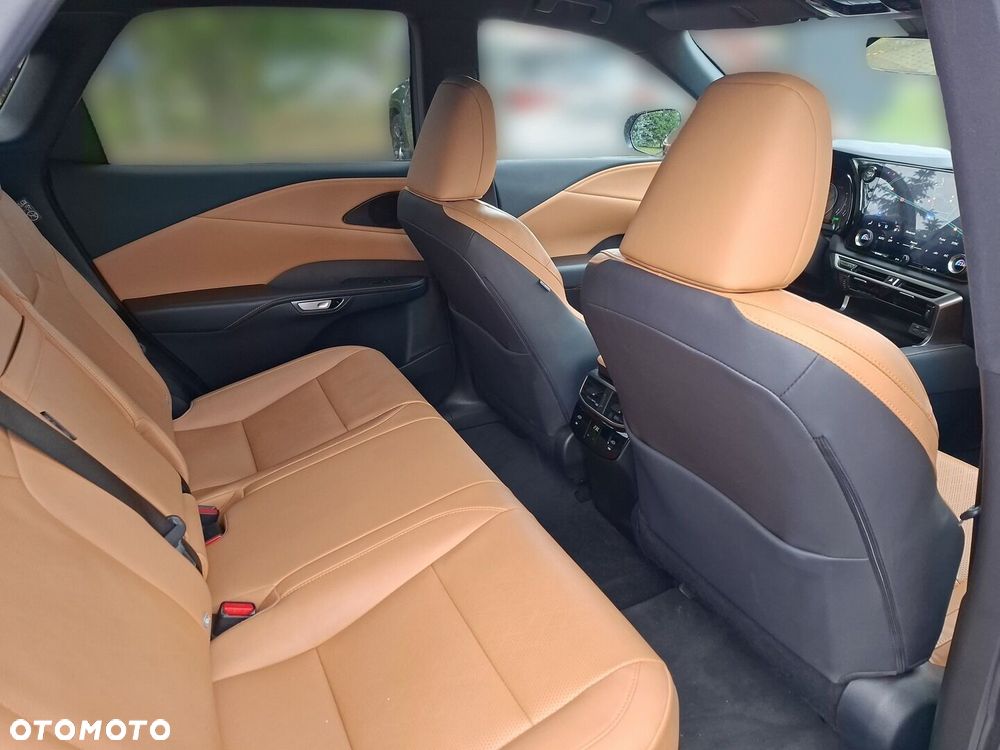Lexus RX - 21