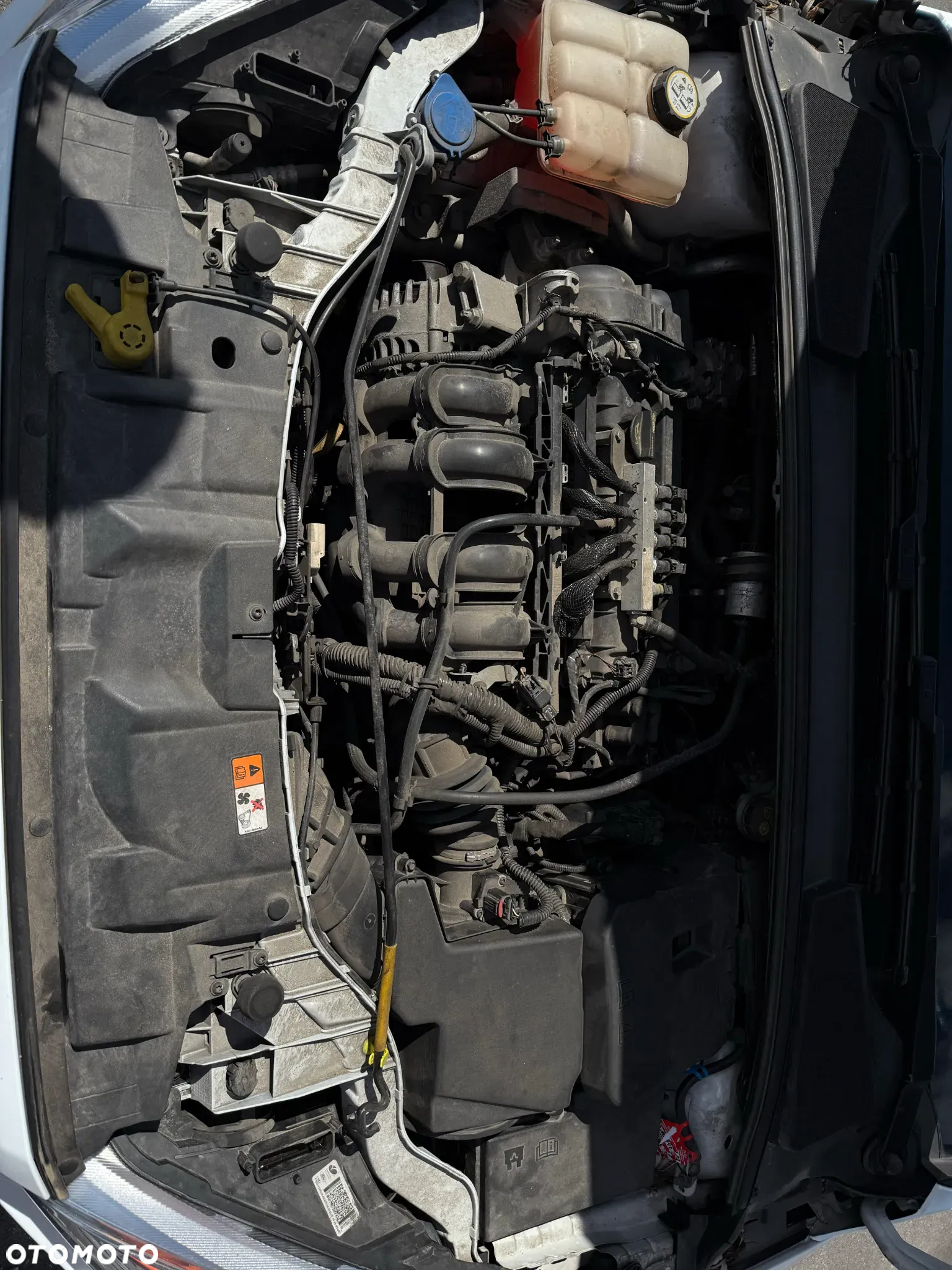 Ford Focus 1.6 FF Trend - 20