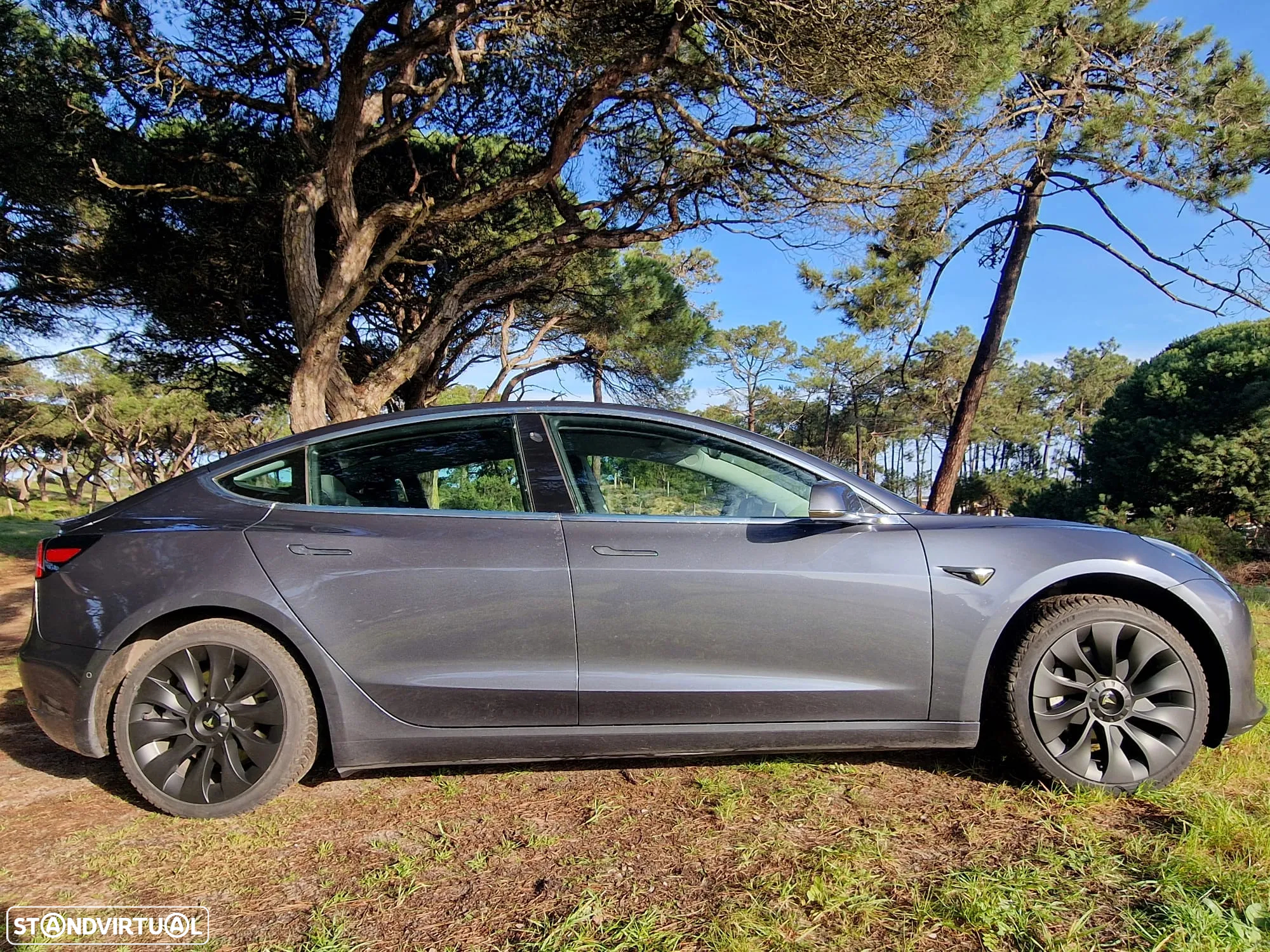Tesla Model 3 Standard Range Plus RWD - 22