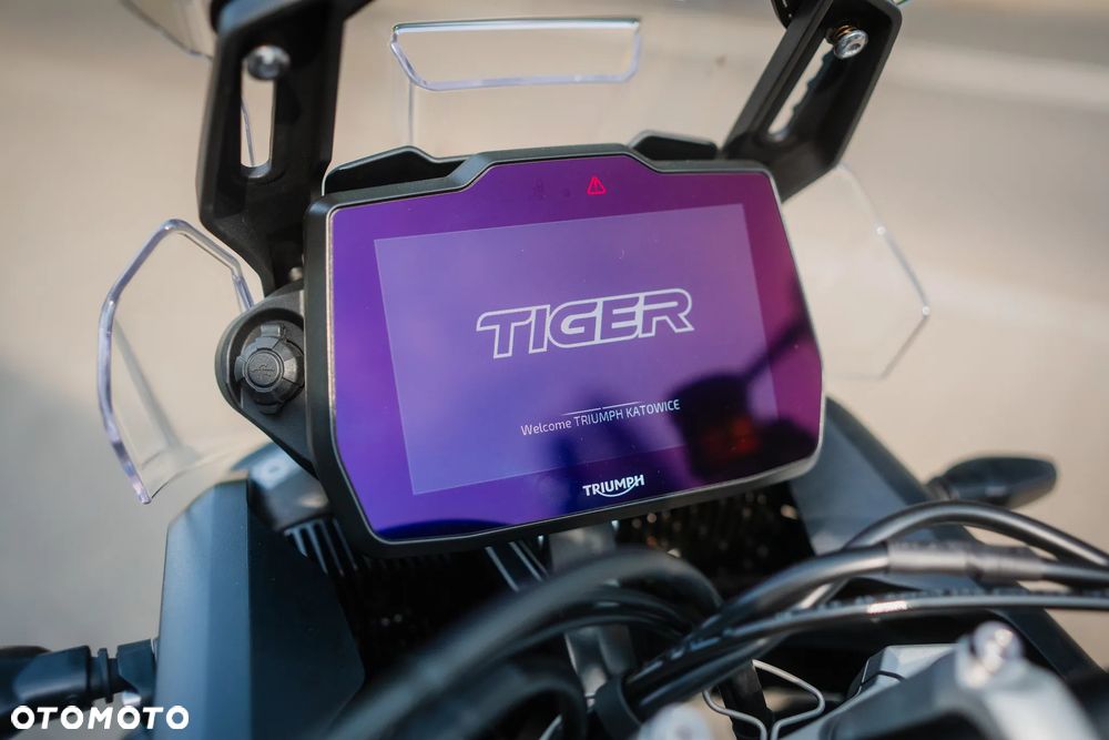 Triumph Tiger - 4