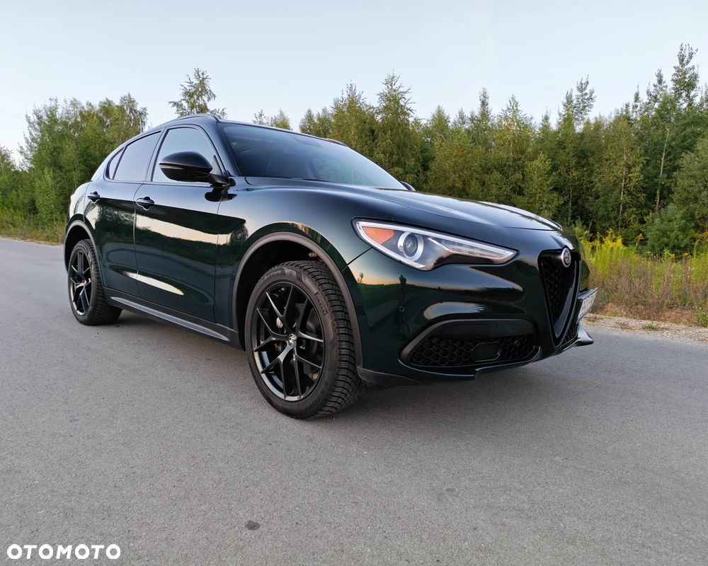 Alfa Romeo Stelvio - 16