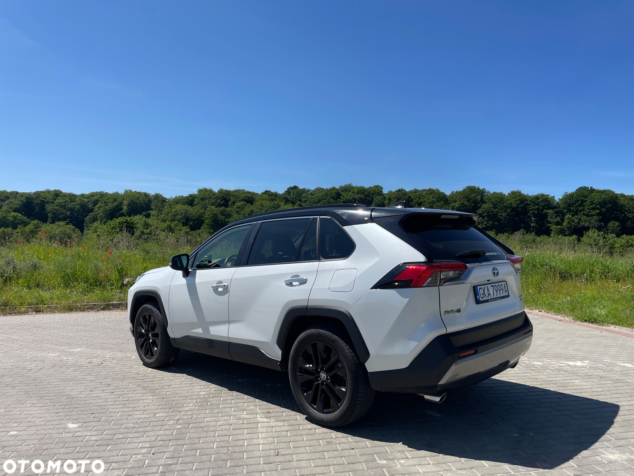 Toyota RAV4 2.5 Hybrid Executive 4x4 - 3