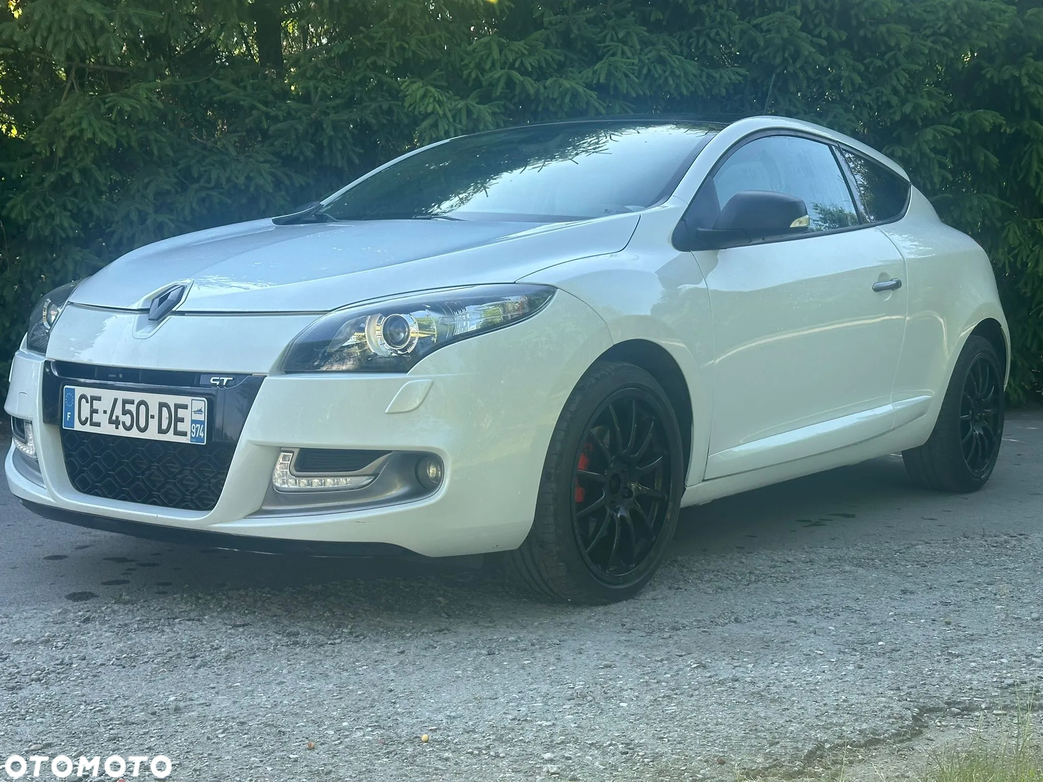 Renault Megane 2.0 16V TCE GT - 3