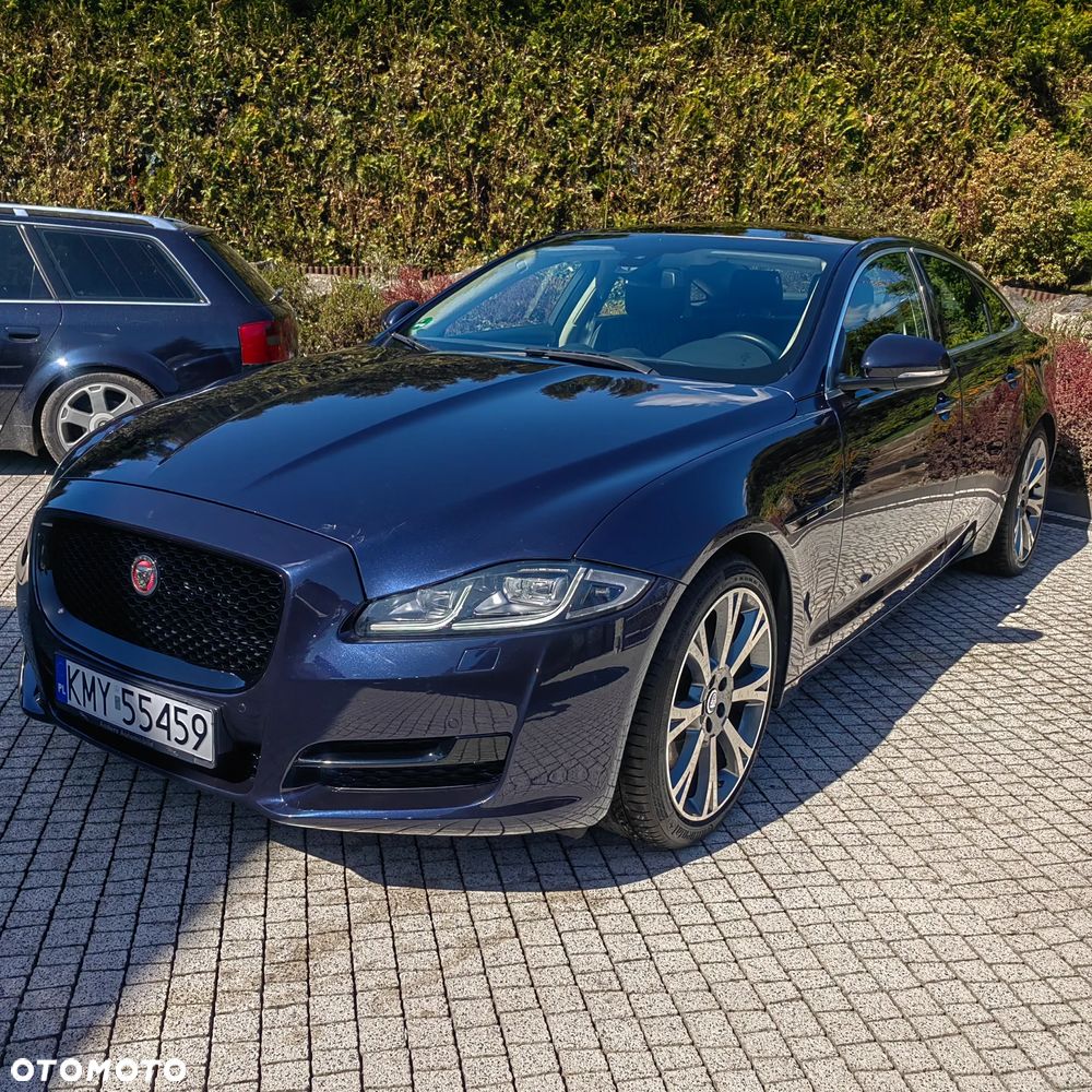 Jaguar XJ 3.0 D V6 Premium Luxury - 7