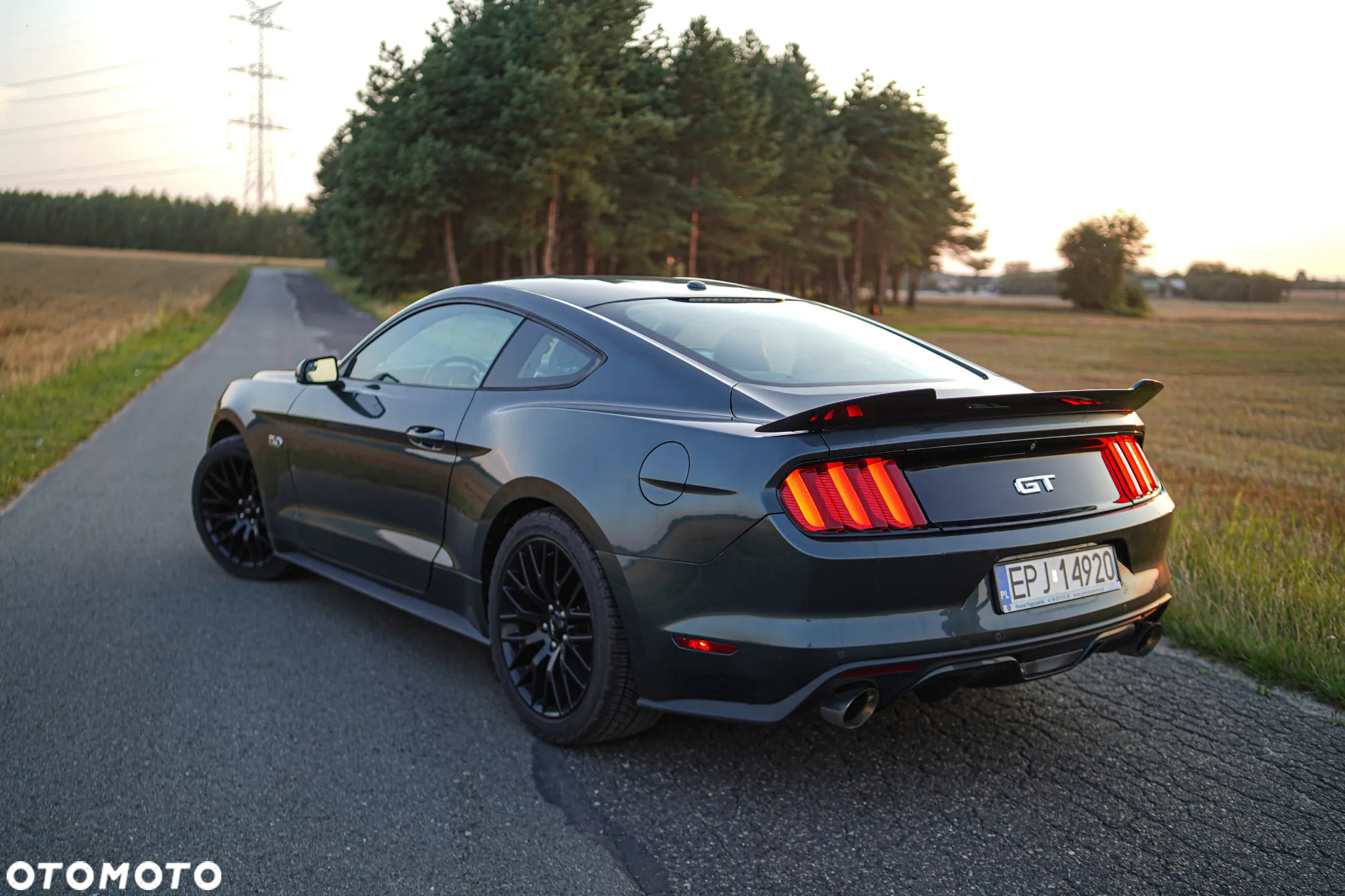Ford Mustang 5.0 V8 GT - 18