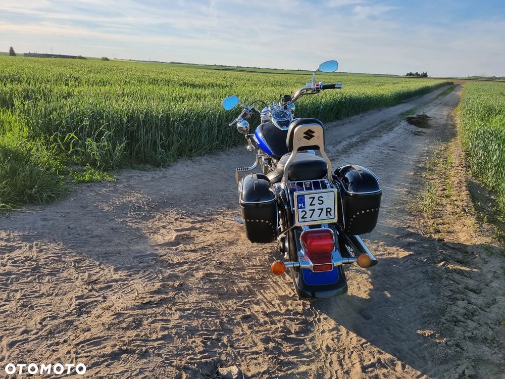 Suzuki VL 800 Volusia - 5