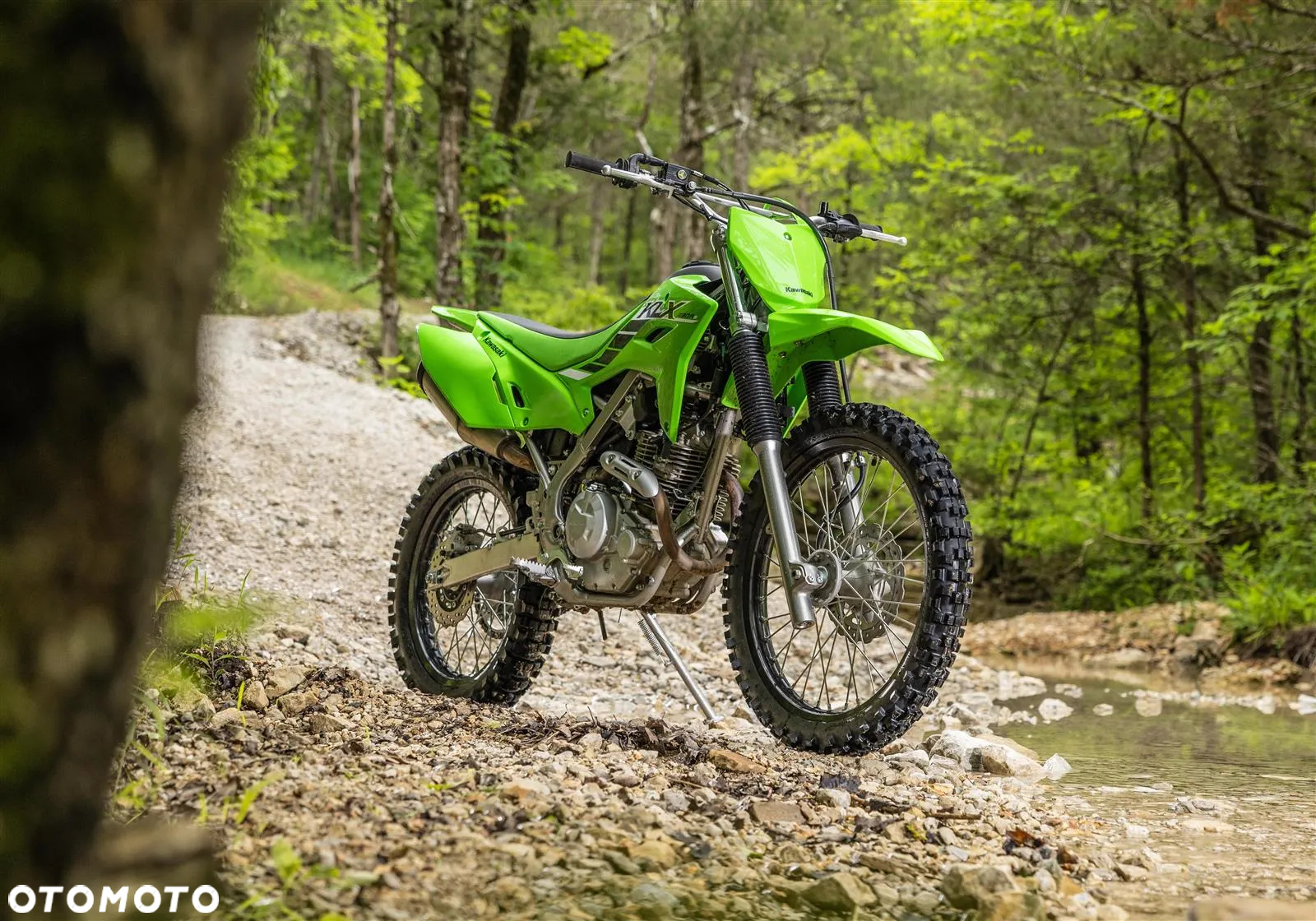 Kawasaki KLX - 10