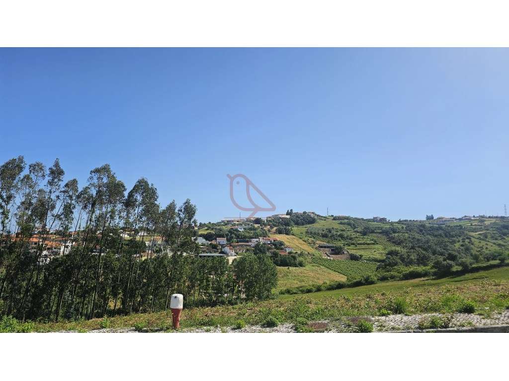 Loteamento / Terreno para Construção / 500 m2 / Casal Novo_ Batalha - Grande imagem: 2/11