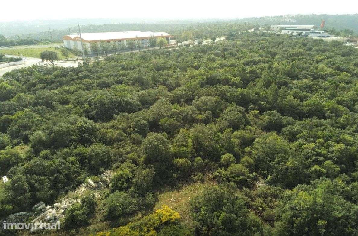 Terreno Rústico na preferia da fantástica Cidade de Fátima - Grande imagem: 4/6