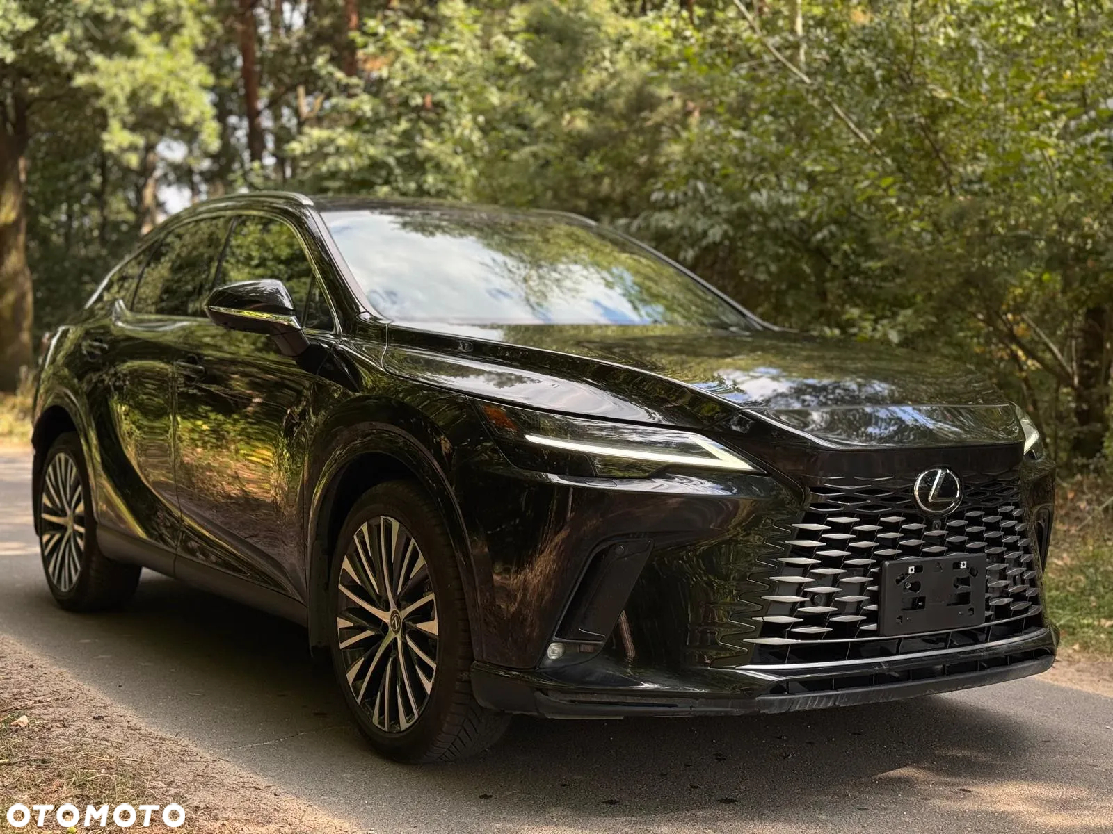 Lexus RX 350h (hybrid) Business - 4