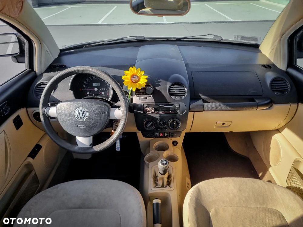 Volkswagen Beetle - 6