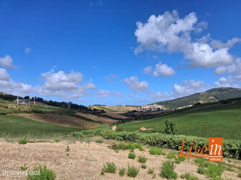 Ruina com Terreno em Enxara dos Cavaleiros - Grande imagem: 2/7