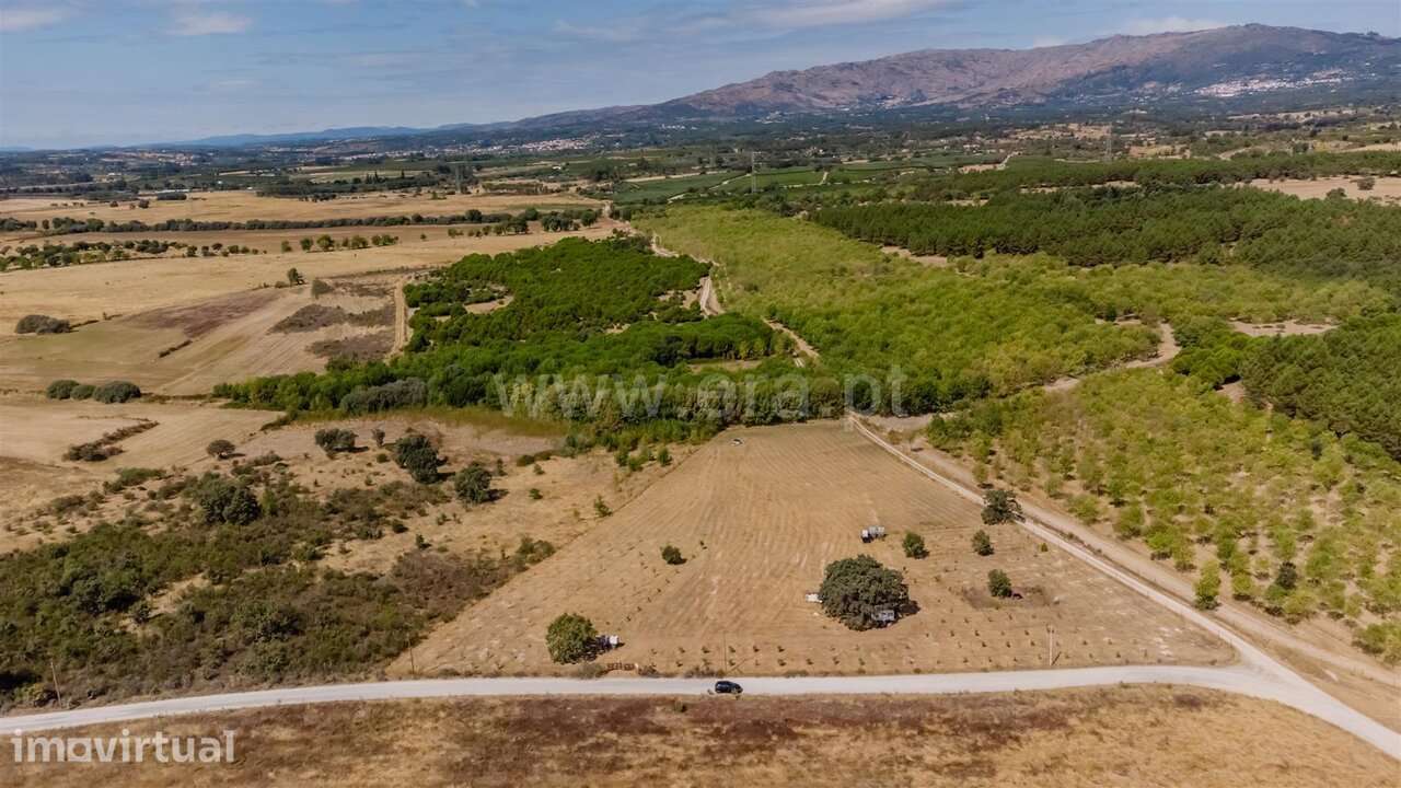 Terreno / Fundão, Orca - Grande imagem: 2/20