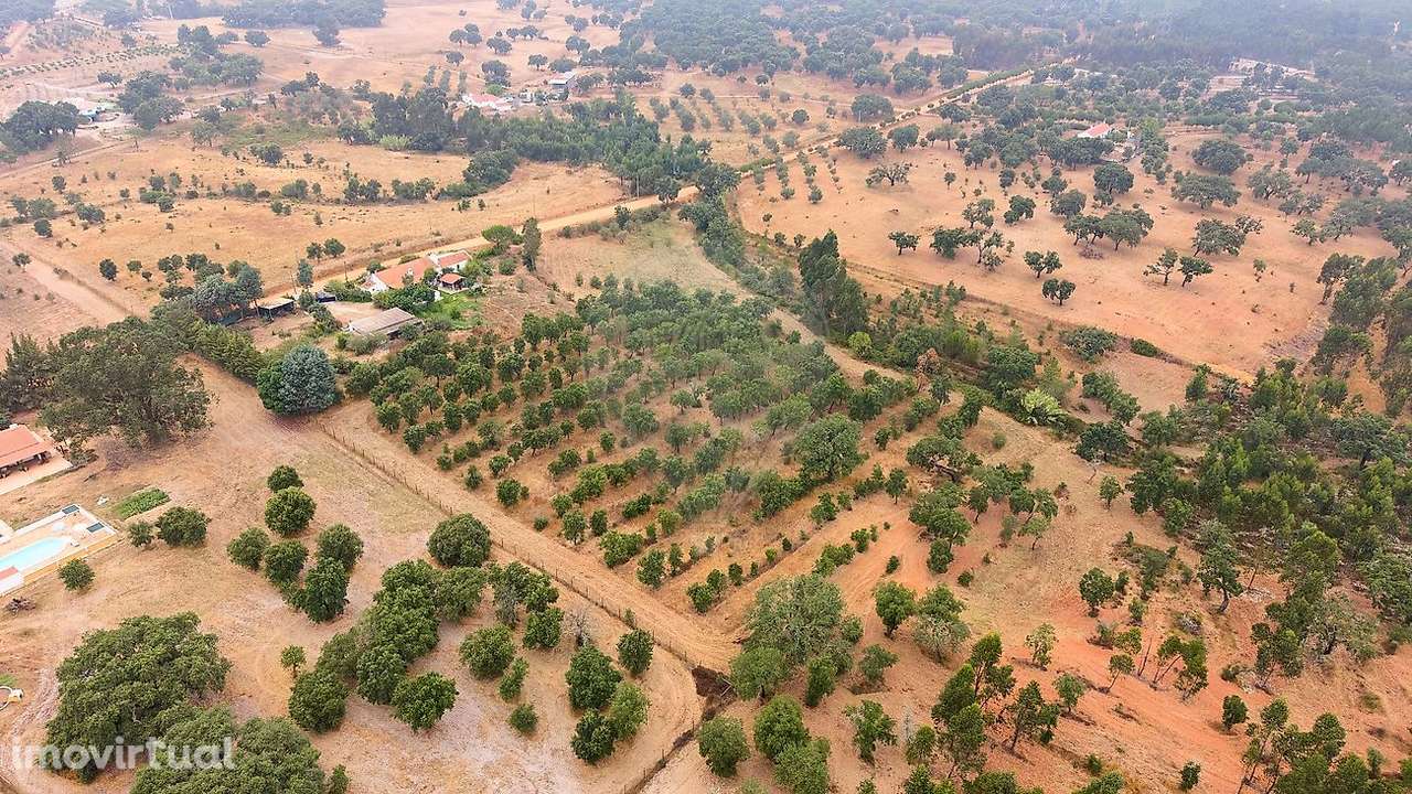 Quinta T3 para venda - Grande imagem: 4/46