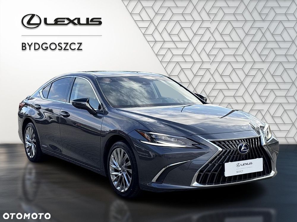 Lexus ES 300h Omotenashi - 3
