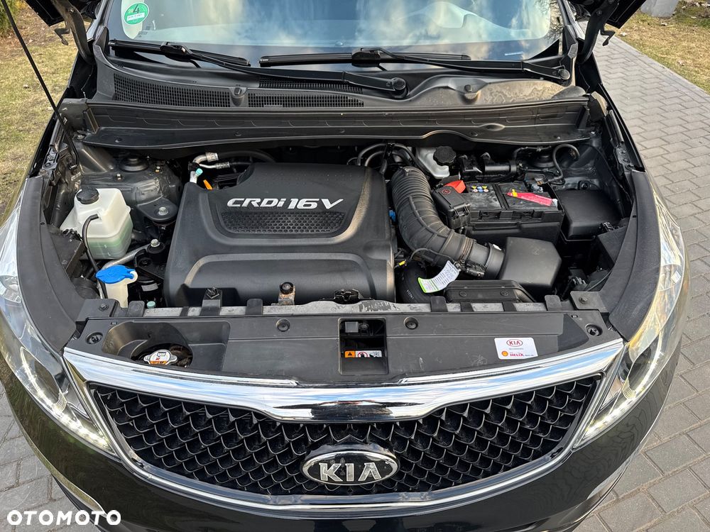 Kia Sportage - 17