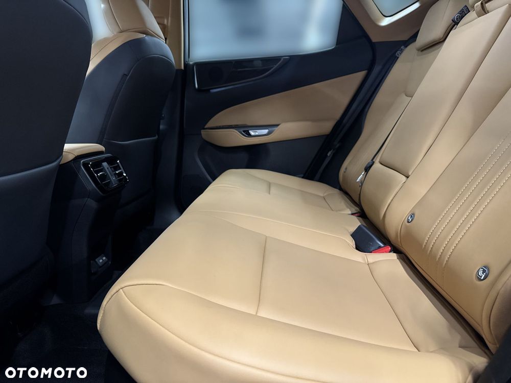 Lexus NX - 10