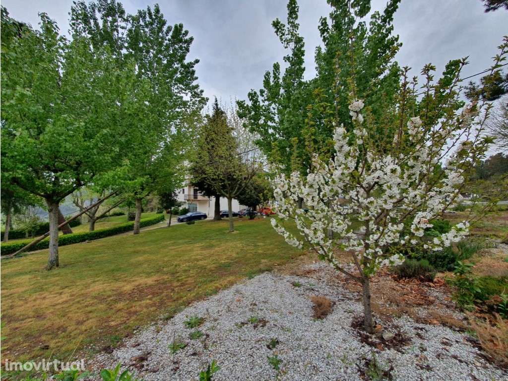 Moradia em Sernancelhe para investimento, com vistas sobre o campo - Grande imagem: 3/32