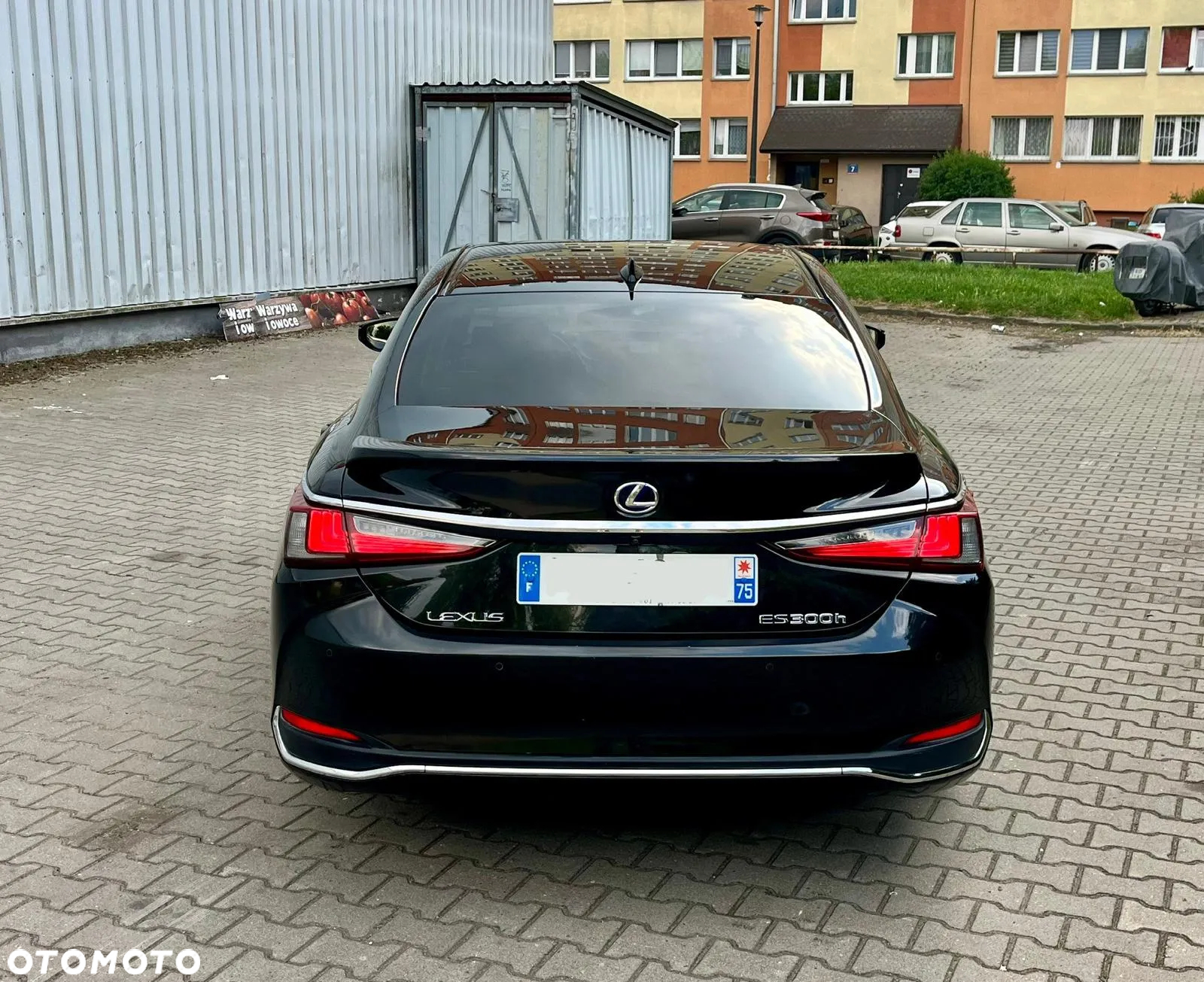 Lexus ES 300h Luxury Line - 5