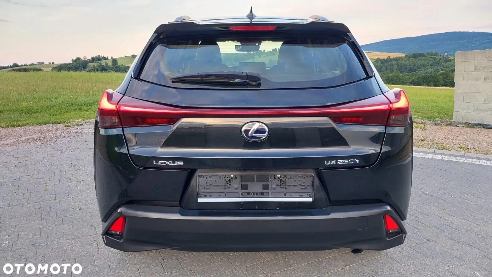 Lexus UX 250h Business Edition - 5
