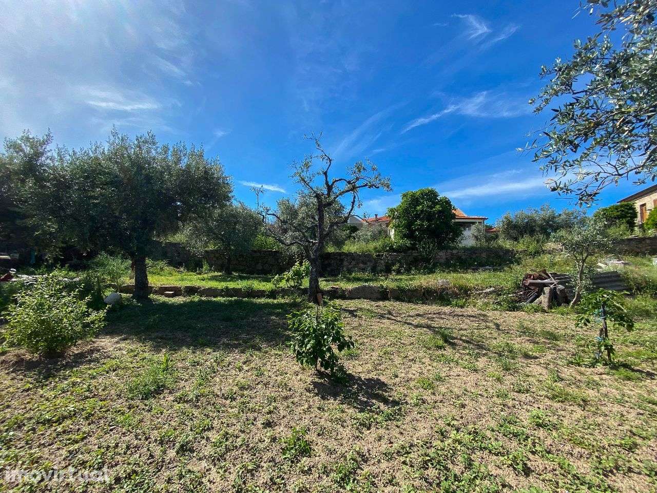 Terreno - Grande imagem: 4/7