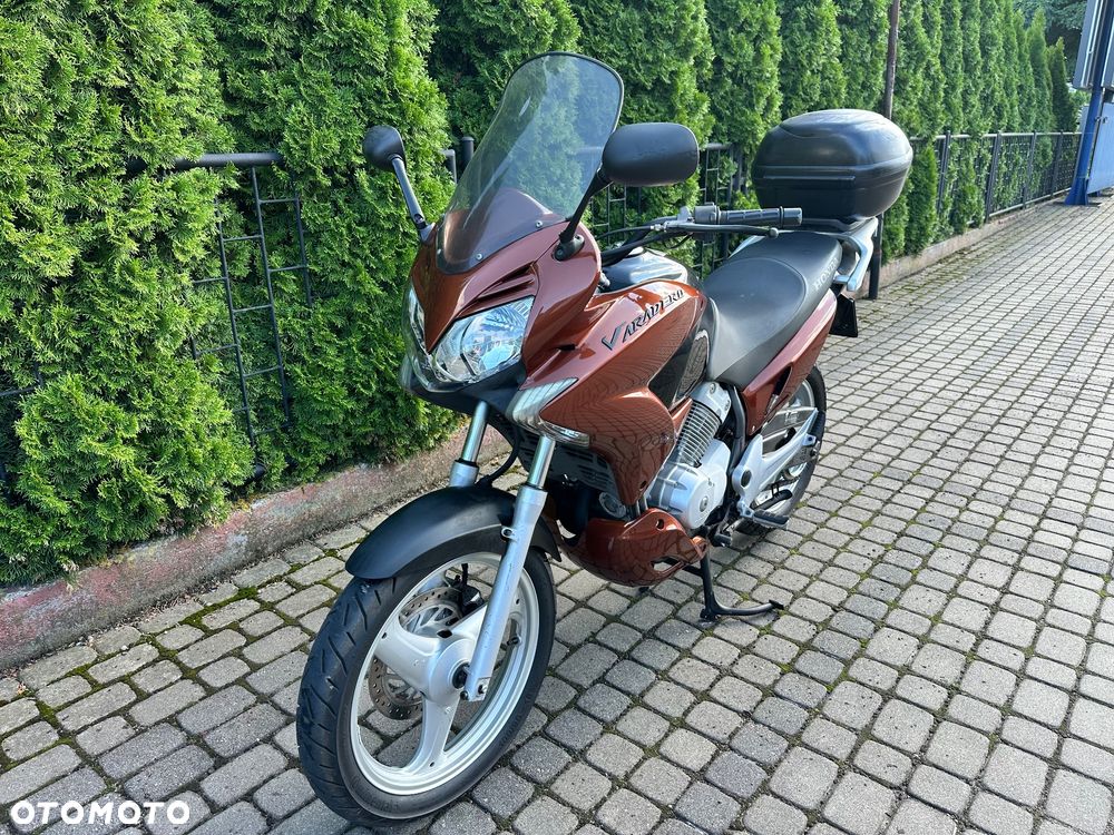Honda Varadero - 6