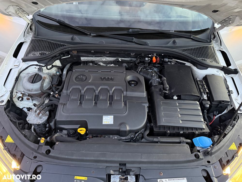 Skoda Octavia 1.6 TDI Green tec 4x4 Elegance - 13